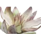 GLSANG FLOWER X2 Zielony 28x88 cm MIN 12
